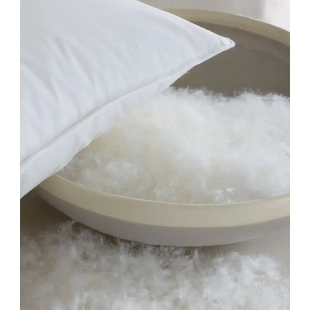 QUINCE Luxe Goose Down Soft Fill Pillow in Standard Size